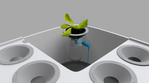 2020年设计流行话题 人与自然的教学用模型及教具制造